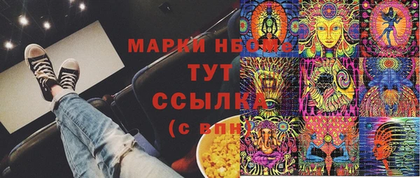ГАЛЛЮЦИНОГЕННЫЕ ГРИБЫ Аркадак