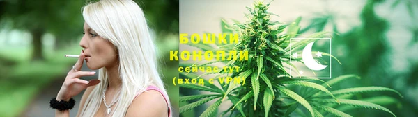 ГАЛЛЮЦИНОГЕННЫЕ ГРИБЫ Аркадак