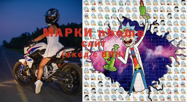 ГАЛЛЮЦИНОГЕННЫЕ ГРИБЫ Аркадак