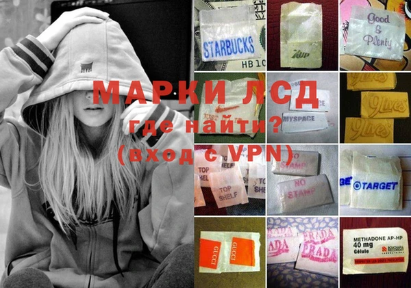 ГАЛЛЮЦИНОГЕННЫЕ ГРИБЫ Аркадак
