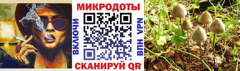 как найти наркотики  Льгов  Псилоцибиновые грибы мухоморы 